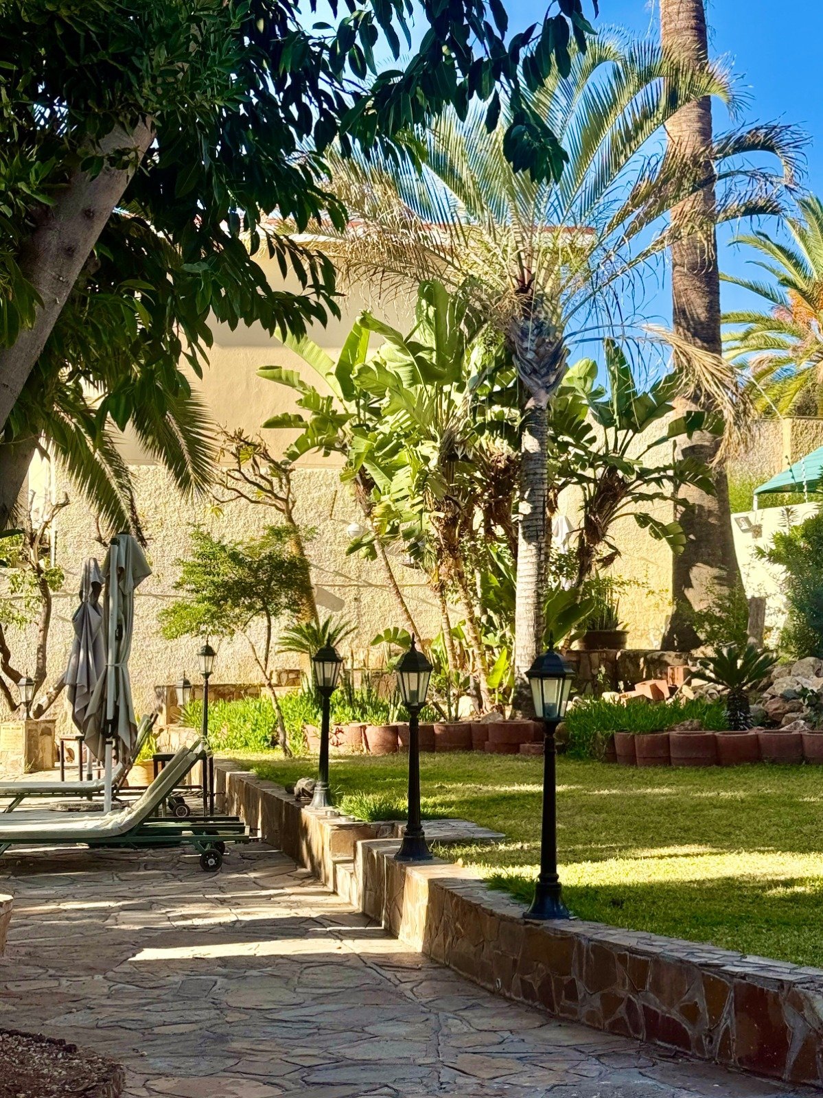 Mediterranean courtyard with palm trees, stone pathway, green lawn, and beige stone building walls under clear blue sky