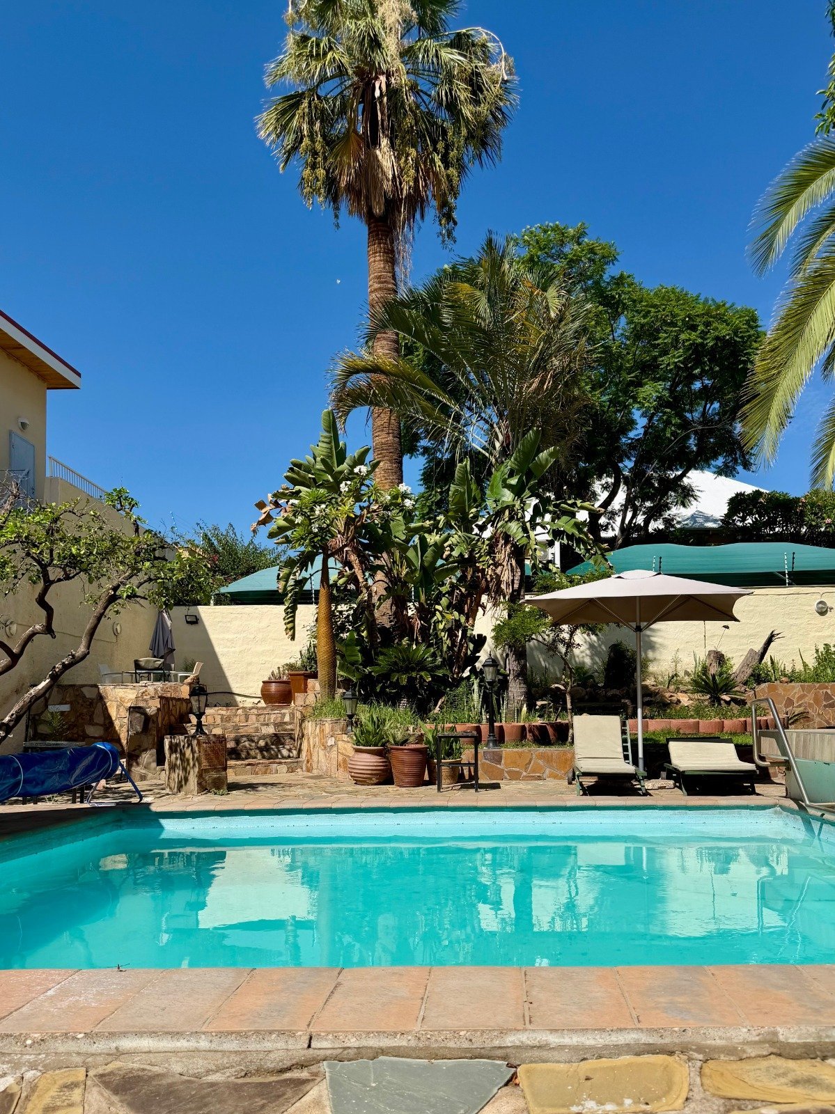 Turquoise swimming pool surrounded by tall palm trees, stone patio, and outdoor furniture under clear blue sky