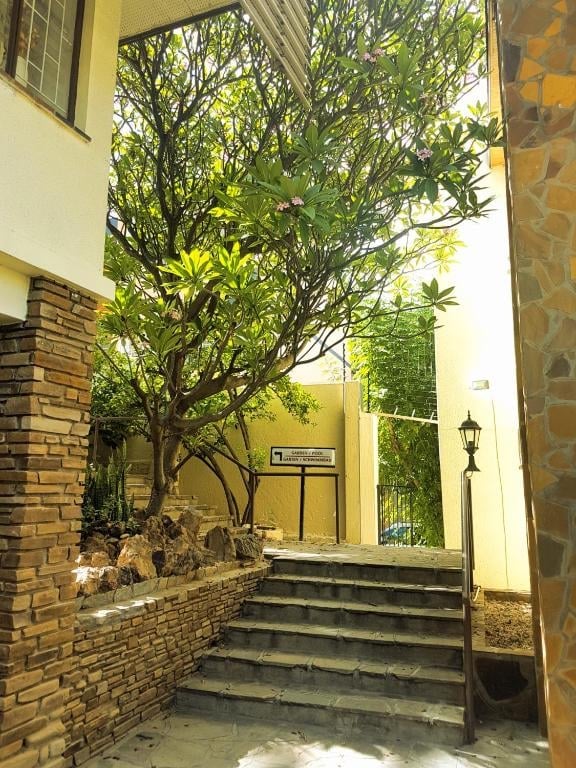 Brick pathway with steps leading to a yellow building entrance, framed by lush green tree with hanging branches