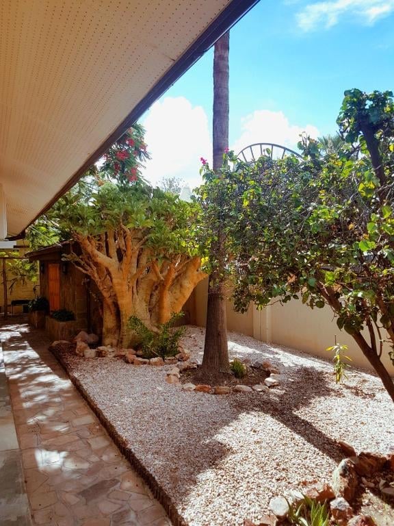 Shaded courtyard with mature trees, gravel ground, and a beige pergola roof overhead against a blue sky