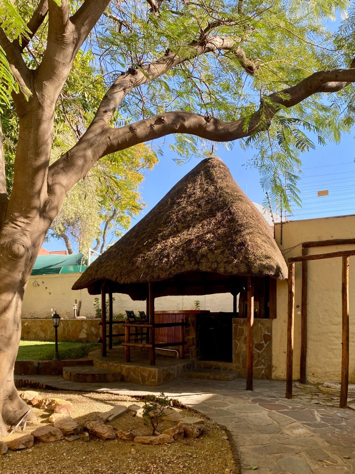 Large tree with spreading branches beside a thatched-roof hut with wooden supports in a courtyard setting