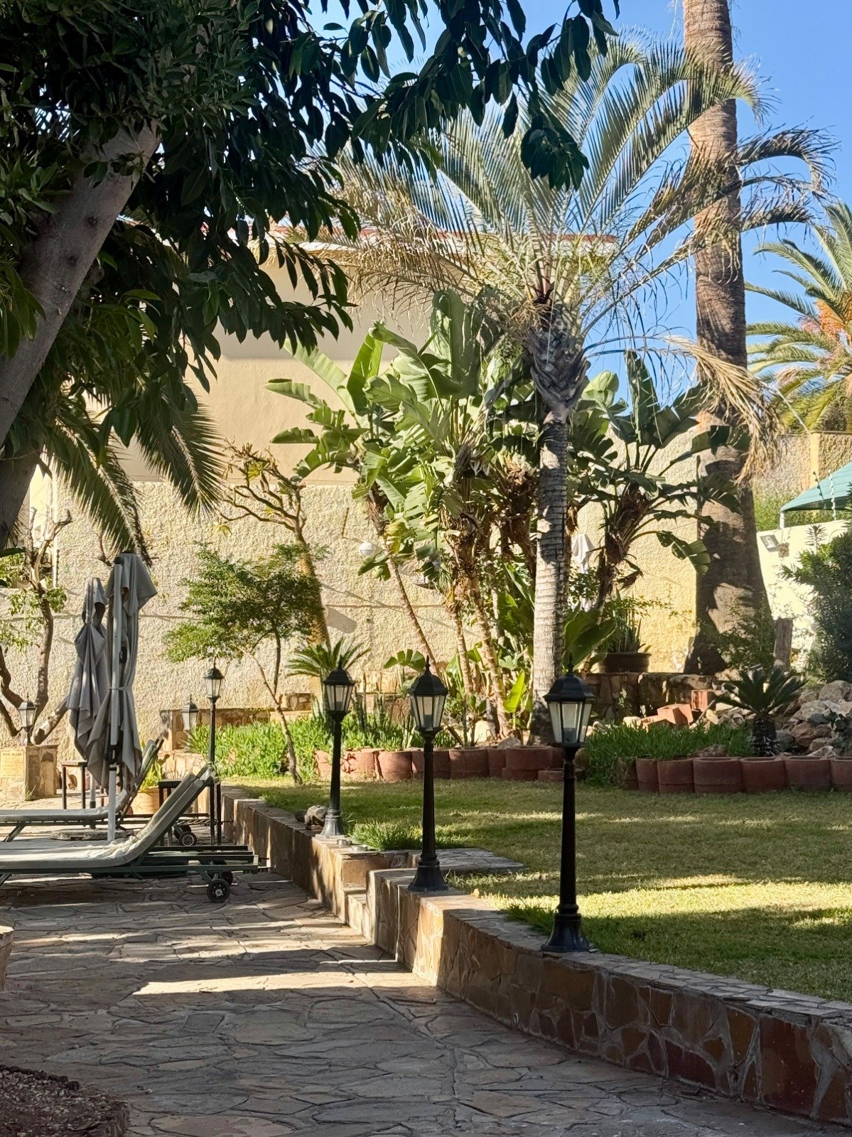 Sunny Mediterranean courtyard with palm trees, stone pathway, and beige building against blue sky