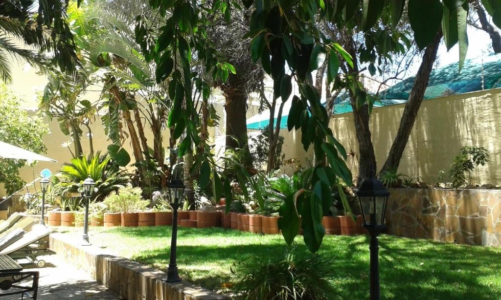 Shaded garden courtyard with mature trees, green grass, potted plants, and stone walls under afternoon sunlight