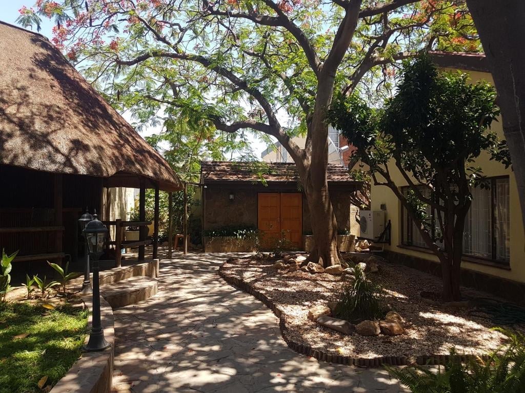 Courtyard with large spreading tree, stone buildings with thatched roof structure, dappled sunlight on paved ground